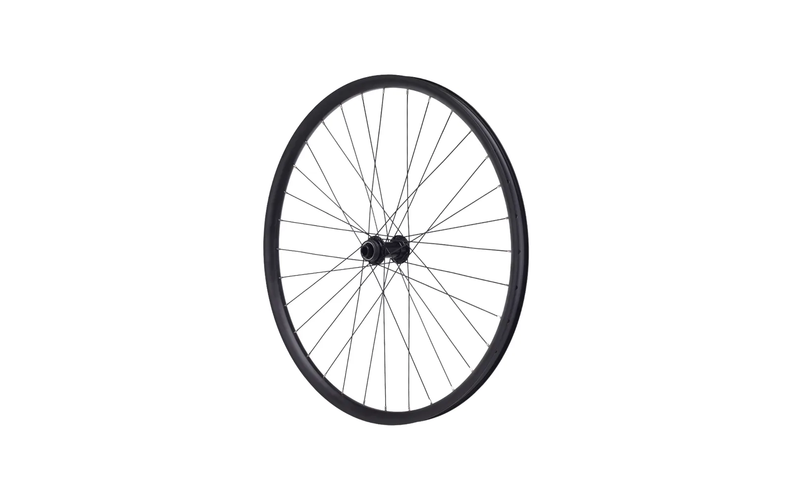 Kolo P 29", černé, disc brake, CL, tubeless ready, 15x110mm, 32H, AV